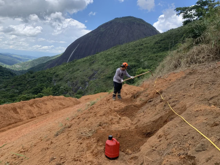 Restauração Ecológica