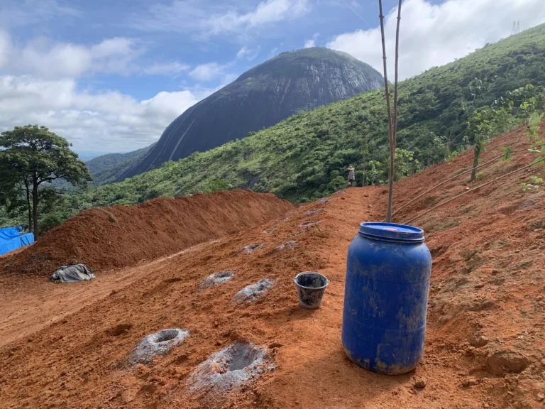 Restauração Ecológica