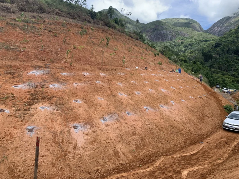 Restauração Ecológica