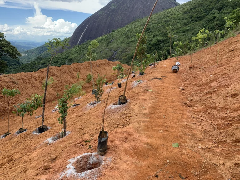 Restauração Ecológica