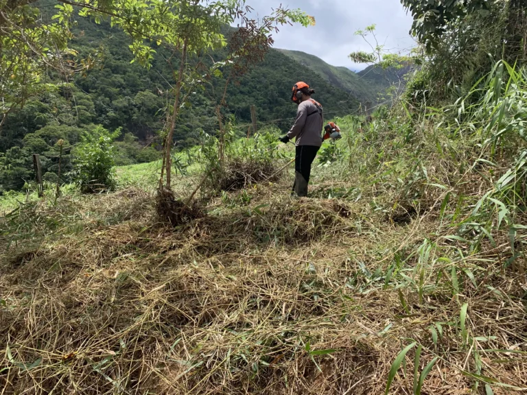 Restauração Ecológica