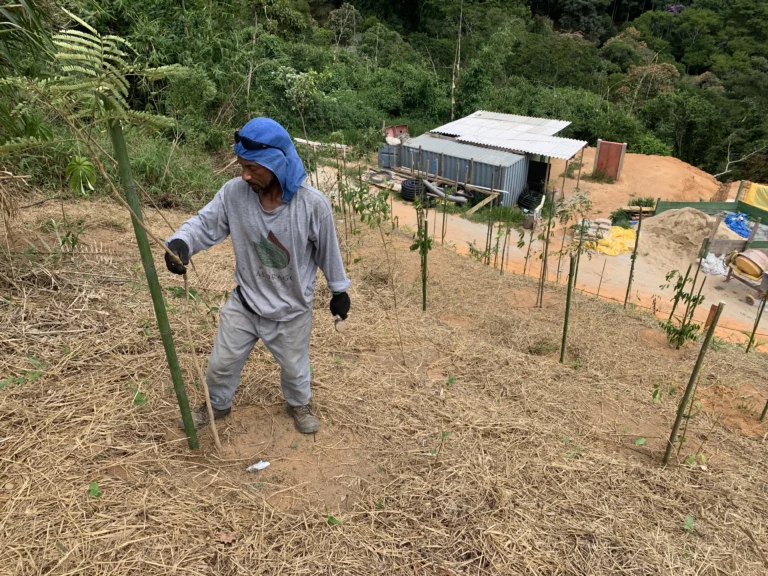 Restauração Ecológica